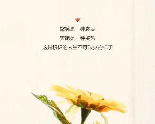 姐妹情深（以唯美短句感恩朋友）