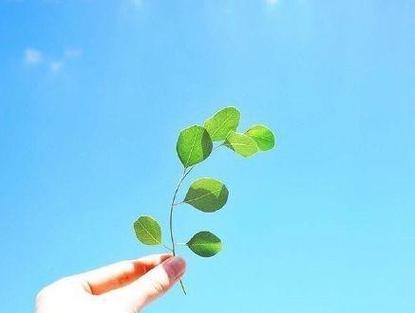 时间匆匆（岁月轮回）