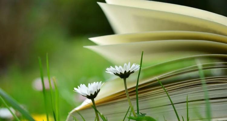 生命之树——赞美活到老学到老（在生命之树下）