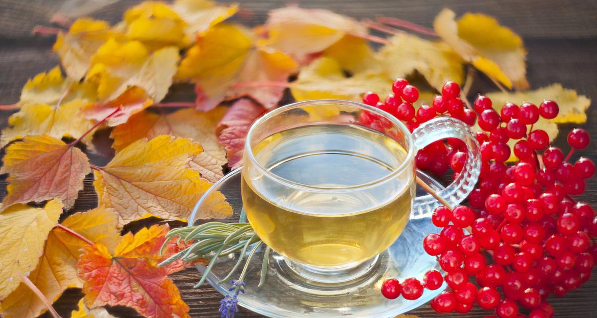 有关立秋的第一杯热茶作文的作文怎么写（《秋意浓，茶香更浓——立秋之约》）