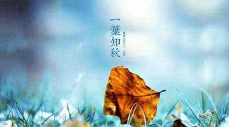 绮丽如诗的形容——形容枇杷的唯美句子集锦(枇杷的美好) 绮丽如诗的形容——形容枇杷的唯美句子集锦(枇杷的美好)