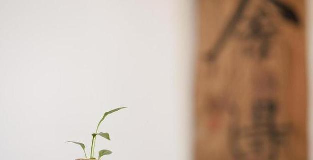 从日常小事做起，构筑真诚的世界（从日常小事做起）