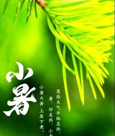 有关介绍节气小暑的作文怎么写的作文400字（《小暑时节：书生意气与夏日长》）