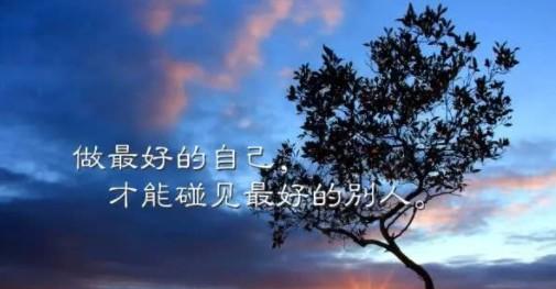 慢行：走过花花世界的细节缤纷