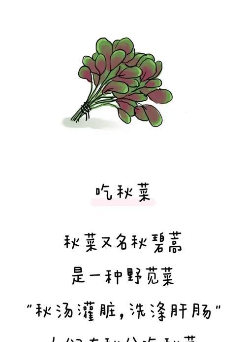 关于秋分的作文怎么写（《秋分时节，童趣话节气》）