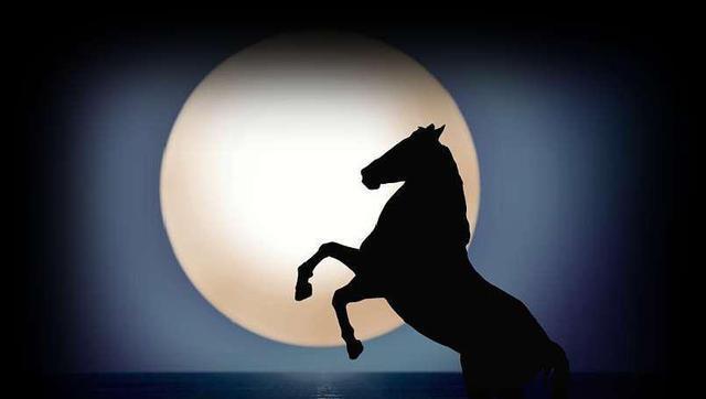 《人生遇伯乐，创未来》