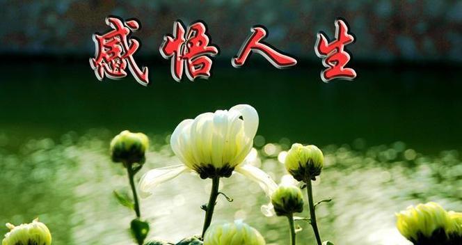 深度挖掘经典价值观，释放心灵之美（深度挖掘经典价值观）
