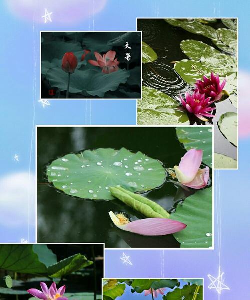 有关大暑植物作文怎么写的的作文400字（《夏日里的绿意盎然》）